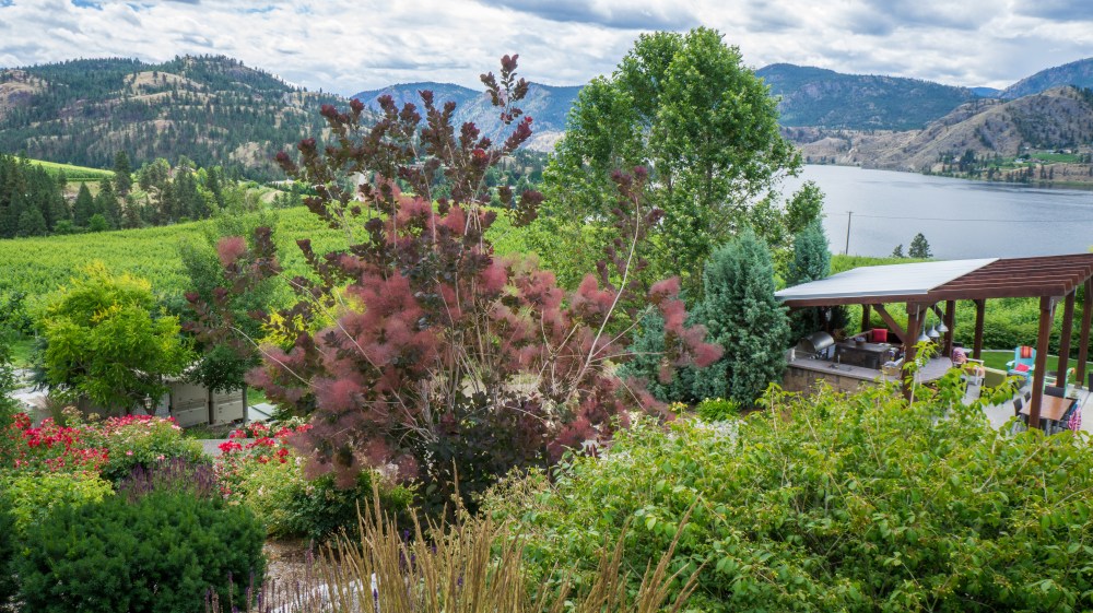 Blasted Church's setting